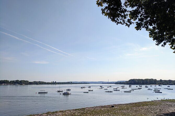 3-Hour Belgrade Zemun Neighborhood Tour - Zemun in three hours: what you’ll actually cover