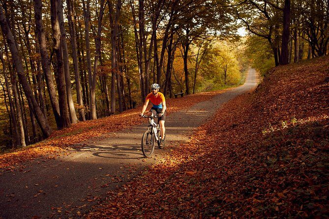 Avala & Kosmaj Bike Tour - Gear and comfort: what’s handled for you