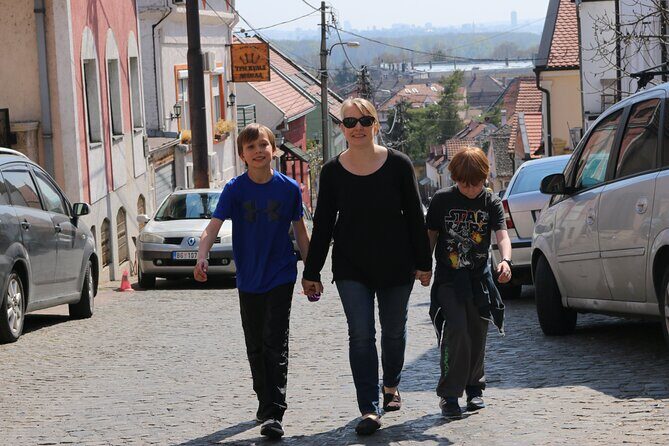 Belgrade Private City Tour – Metropolis Between East and West - Gardoš and the Millennium Tower: slower streets and real views