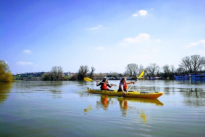 Belgrade War Island Kayak Tour - Lido Beach at the island tip: swim break and sand time
