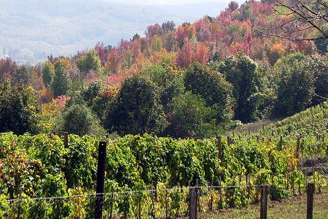 Full-Day Private Royal Heritage Tour to Oplenac With a Winery Visit - Aranđelovac lunch: a royal-themed dining room
