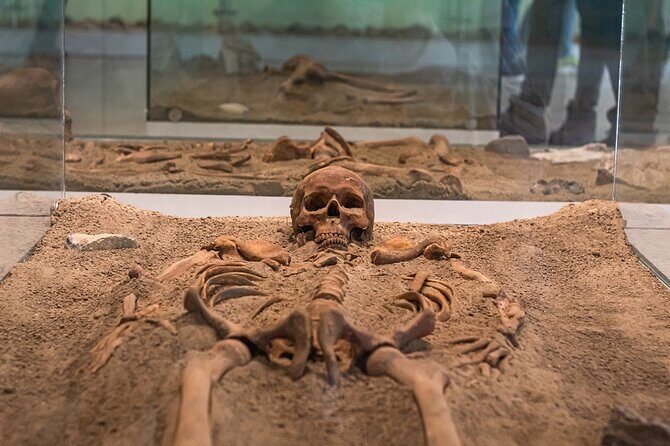 Iron Gate NP Tour with 2 viewpoints - Winter Edition - Lepenski Vir: why this 8,000-year site belongs on your Danube day