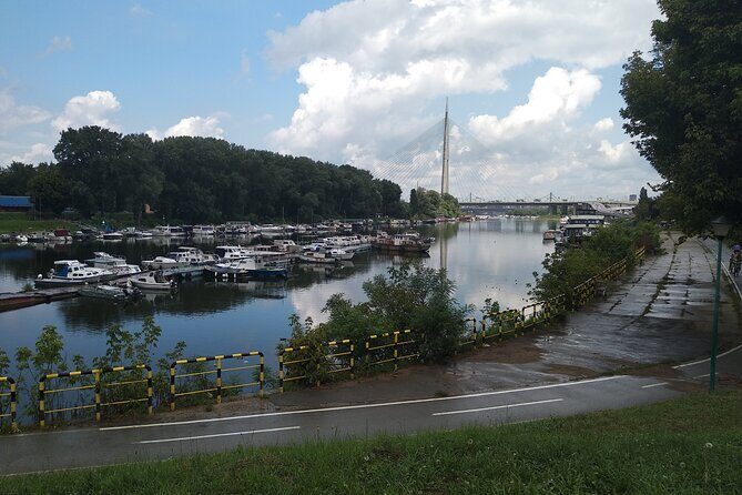 Private 4 Hours Space Architecture Tour in Belgrade - Stop 3: Ada Bridge Over the Sava River, Built for Modern Showmanship