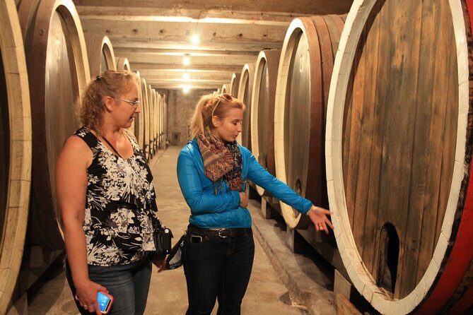 Private Wine Tour in Royal Region - Stop 2: King’s Winery in Topola and the Royal Cellar Atmosphere