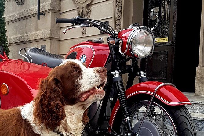 Sidecar Tours Belgrade - Dorcol stop: old streets, cafe culture, and Danube coffee breaks
