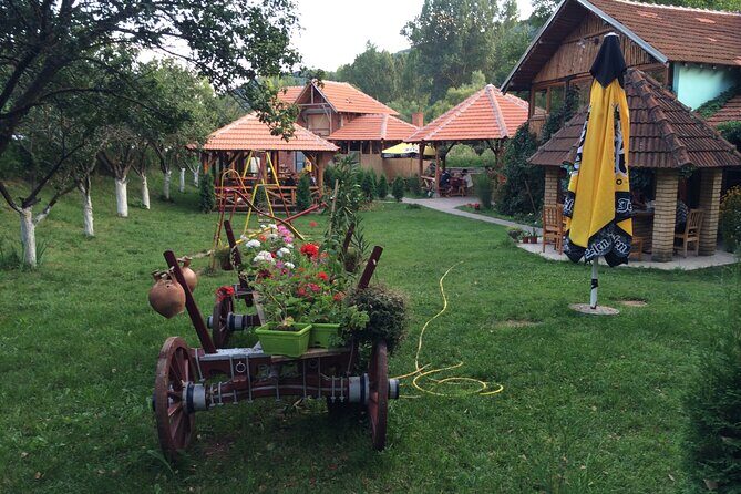 Stara Plana Day Tour - Food, Horses, and Villages: How the Day Gets Personal